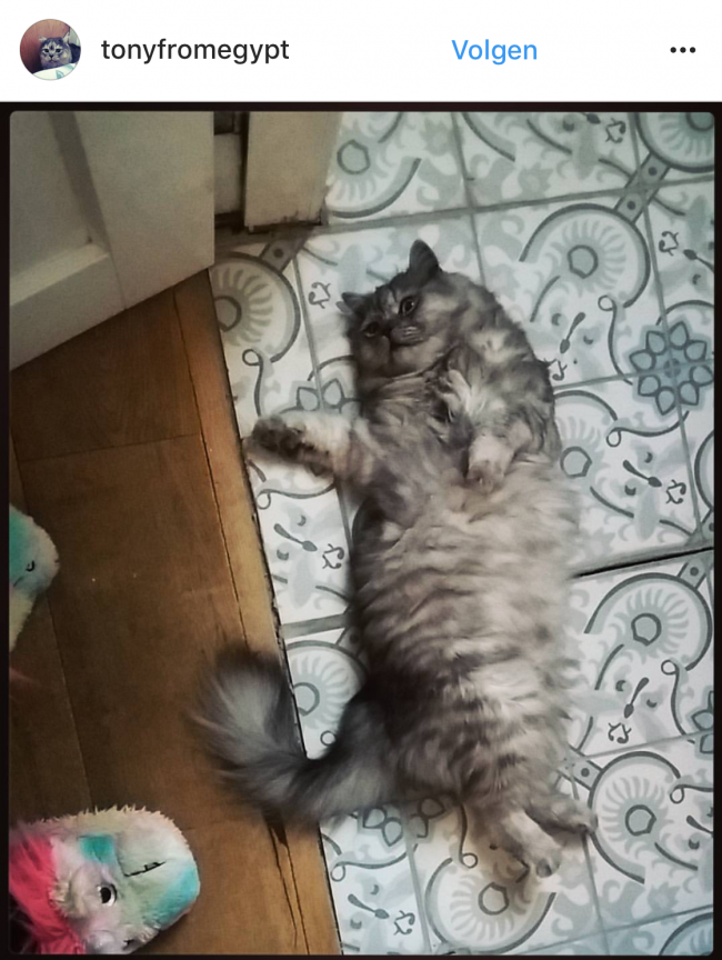 La Madeleine Papillon 20X20